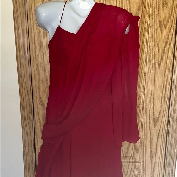 Michaelangelo Scarlet lined gown with scarf size 2 - Picture 5 of 9